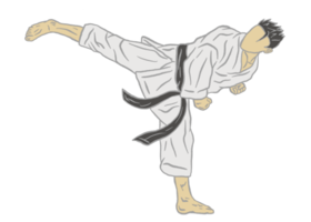 illustration of karate fighter png