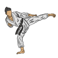 illustration av karate png