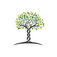 Tree branch vector ilustration design