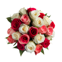 red rose isolated for valentine's day. Generative AI png