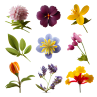Set of colorful flowers on a transparent background. png