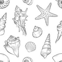 Seashells and starfish seamless pattern background vector illustration. Cute aquatic marine life doodle wallpapers