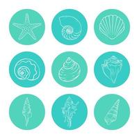 juego de pegatinas de conchas marinas y estrellas de mar, ilustración de vida marina acuática dibujada a mano vector