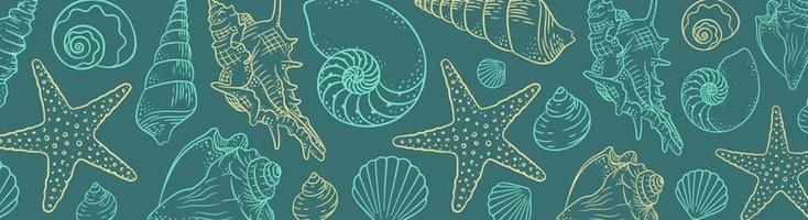 fondo de banner horizontal de horario de verano. colección de estrellas y conchas marinas dibujadas a mano. ilustración marina de mariscos del océano vector