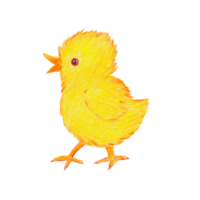 Bright yellow little chicken, side view, hand-drawn, colored pencils png