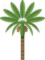 uae famous palm tree png