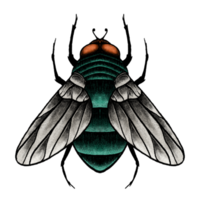 desenho de mosca verde de inseto. png