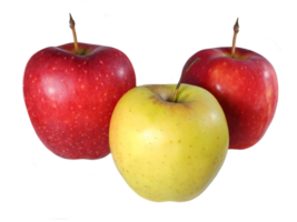 un grupo de coloridas frutas de manzana png