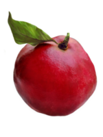 ripe pomegranate with leaves png