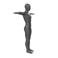 body anatomy isolated on background png