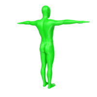 body anatomy isolated on background png