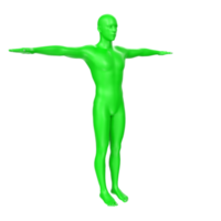 anatomía del cuerpo aislado en el fondo png