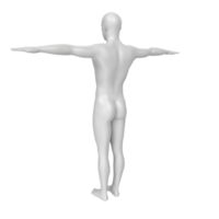 lichaam anatomie geïsoleerd Aan achtergrond png