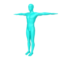 anatomía del cuerpo aislado en el fondo png