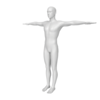 body anatomy isolated on background png