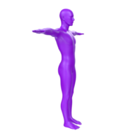 body anatomy isolated on background png