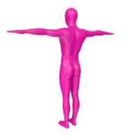 anatomía del cuerpo aislado en el fondo png