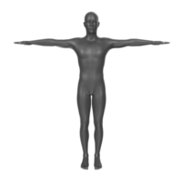 body anatomy isolated on background png