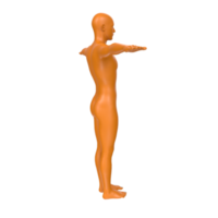 body anatomy isolated on background png