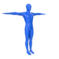 body anatomy isolated on background png