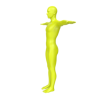 body anatomy isolated on background png