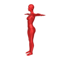 Female Basemesh isolated on transparent png