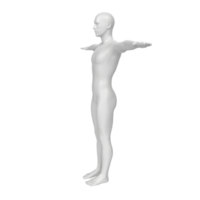 anatomia do corpo isolada no fundo png