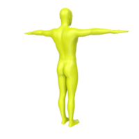 lichaam anatomie geïsoleerd Aan achtergrond png