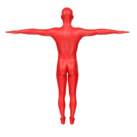 body anatomy isolated on background png