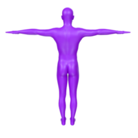 lichaam anatomie geïsoleerd Aan achtergrond png