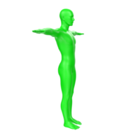 lichaam anatomie geïsoleerd Aan achtergrond png