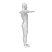 body anatomy isolated on background png