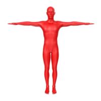 body anatomy isolated on background png