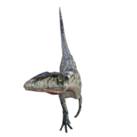 coelophysis dinosaure rendu 3d isolé png