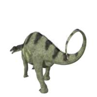 brachytrachelopan dinosaurier isoliert 3d rendern png