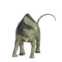 Brachytrachelopan Dinosaur isolated 3d render png