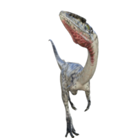 Coelophysis dinosaur isolated 3d render png