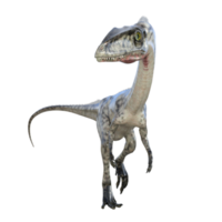 coelofisi dinosauro isolato 3d rendere png