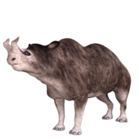 Brontotherium-Dinosaurier isoliert 3D-Rendering png