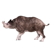 Brontotherium-Dinosaurier isoliert 3D-Rendering png