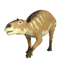 eurohippus is de herbivoor voorloper van de paard dat leefde in de Eoceen periode in tropisch oerwouden van Europa. png
