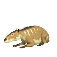 Eurohippus is the herbivorous forerunner of the horse that lived in the Eocene Period in tropical jungles of Europe. png