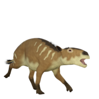 eurohippus é o precursor herbívoro do cavalo que viveu no período eoceno nas selvas tropicais da Europa. png