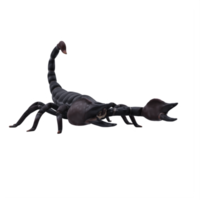 3d scorpione isolato png