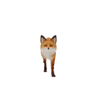 renard 3d isolé png