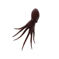 3d octopus isolated png