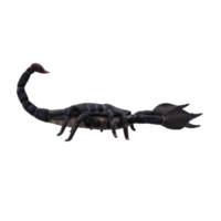 scorpion 3d isolé png