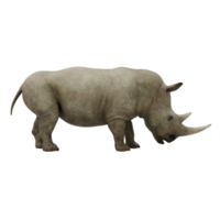 3d Rhinoceros isolated png