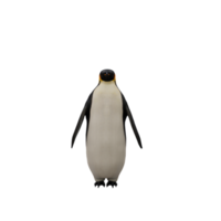 3d penguin isolated png
