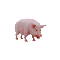 cerdo 3d aislado png